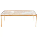 Leilani Palm Leaf Coffee Table - Gold Leaf/Glass - Safavieh