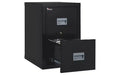 FireKing Patriot by FireKing Insulated Fire File, 1-Hour Fire Protection, 2 Legal/Letter File Drawers, Black, 17.75 x 25 x 27.75